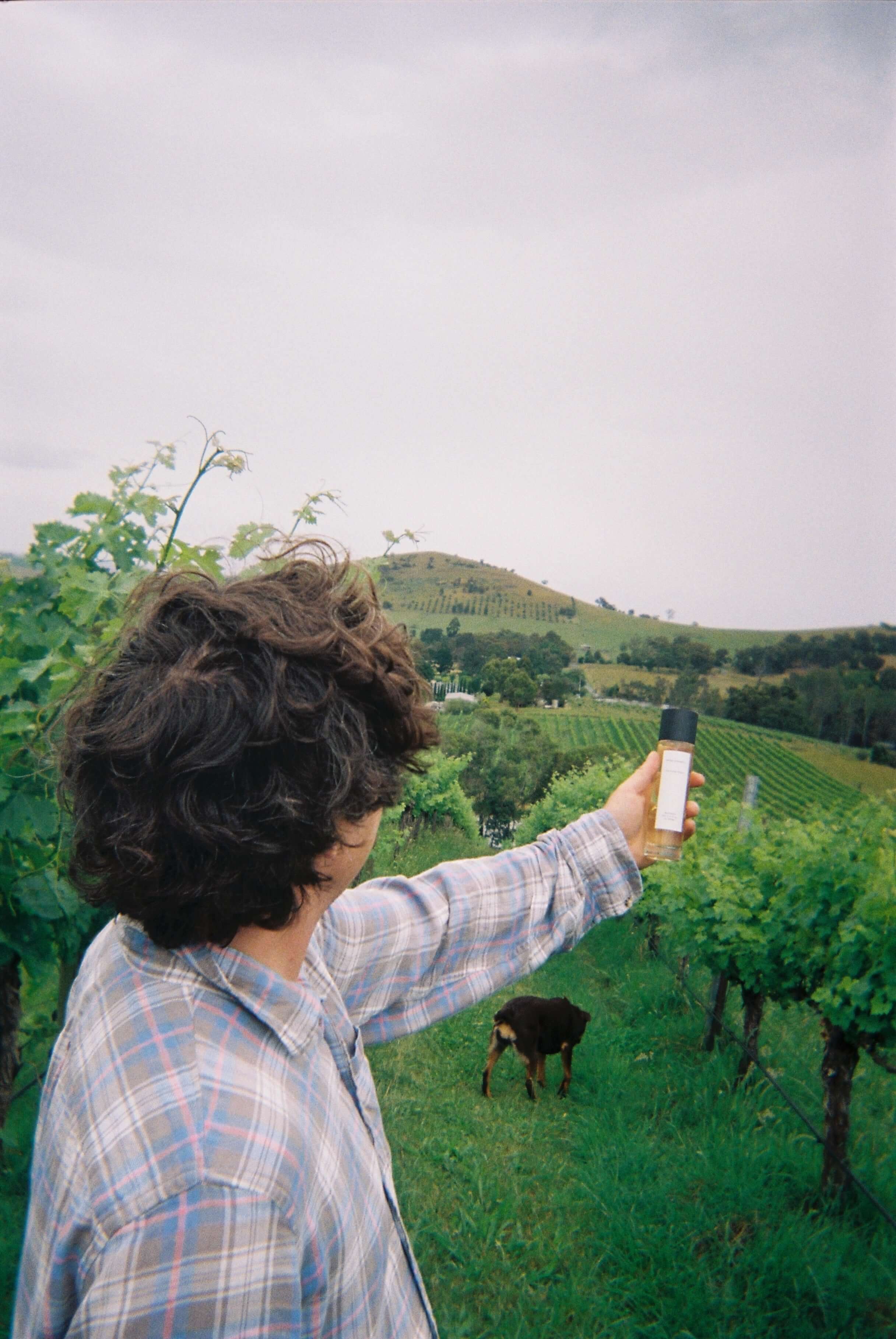 MASTORIES03