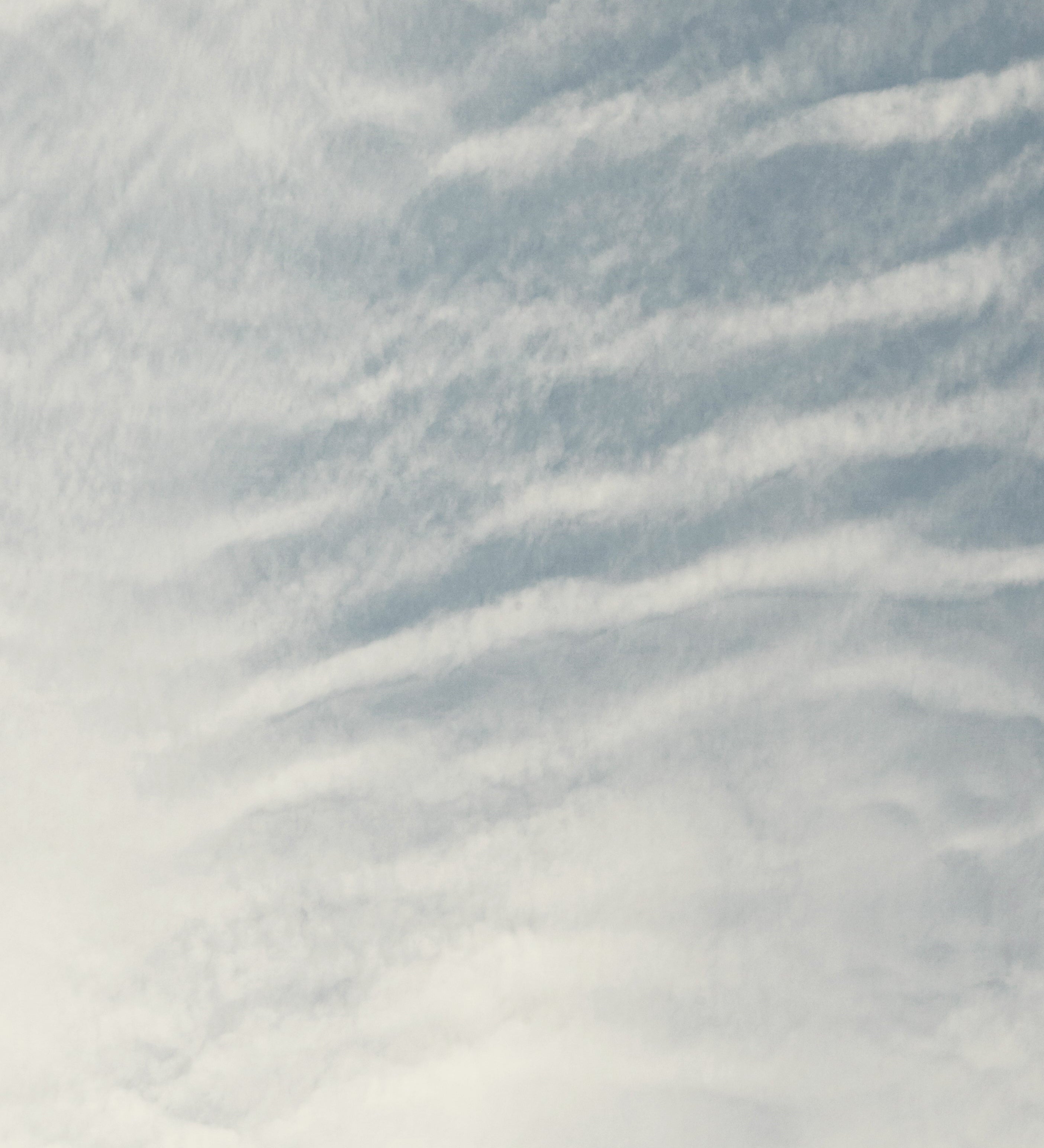 What is Petrichor?