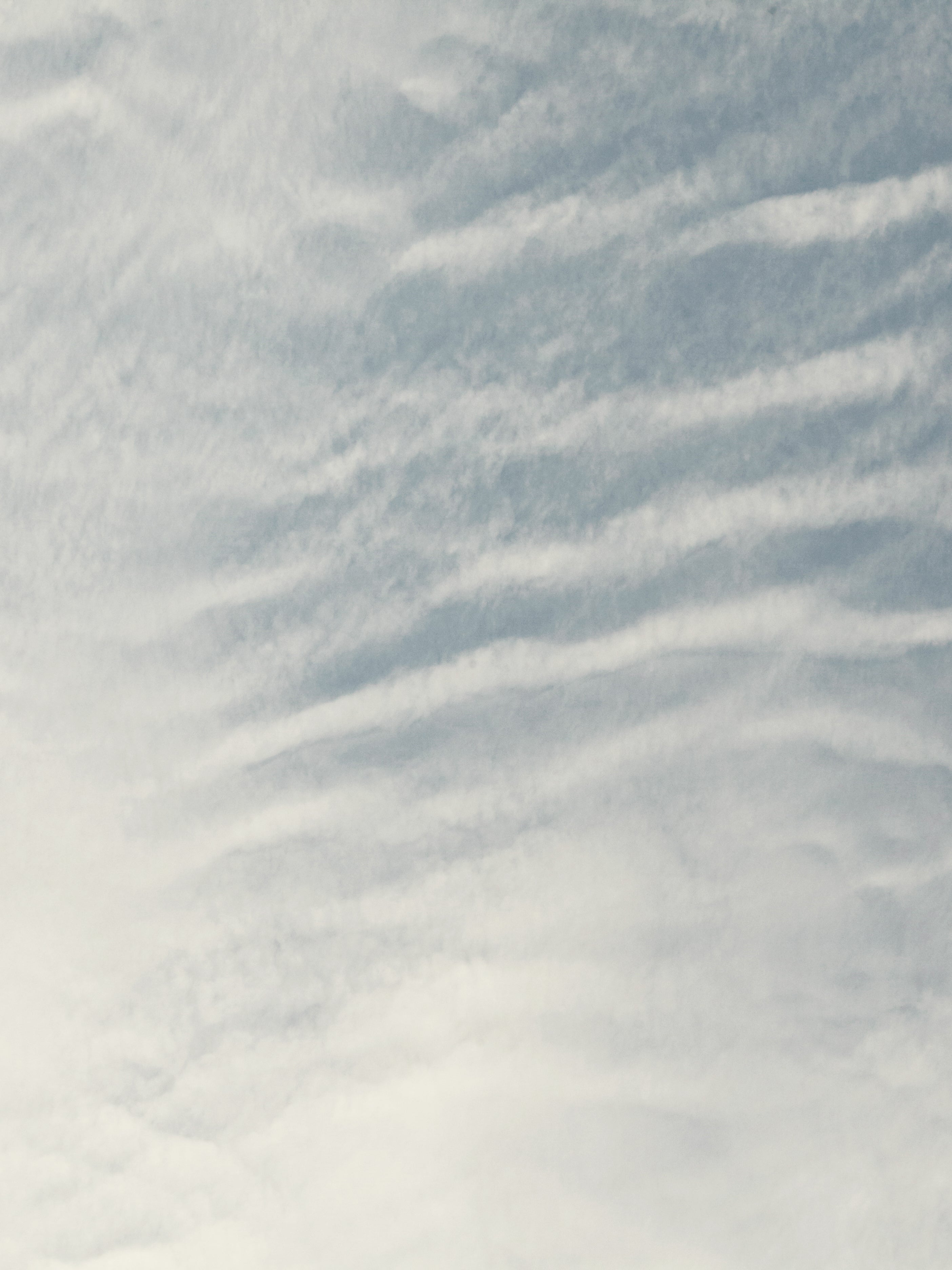 What is Petrichor?