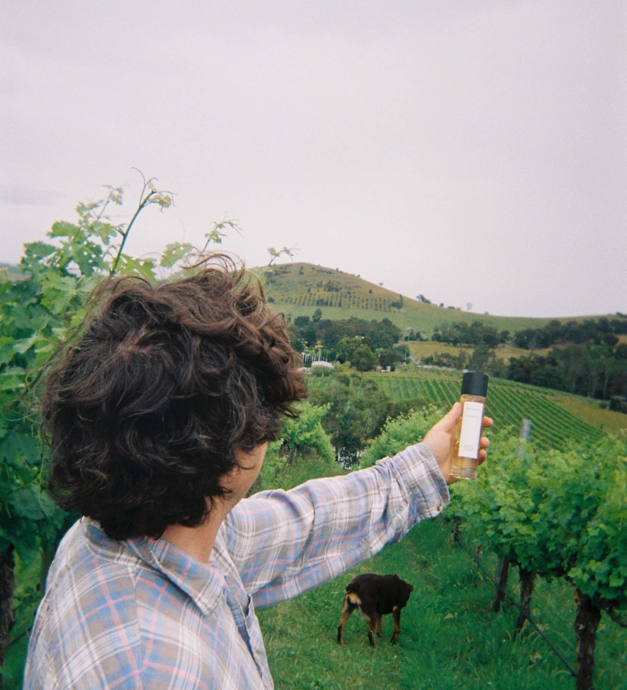 MASTORIES03