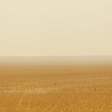 Petrichor Plains Parfum