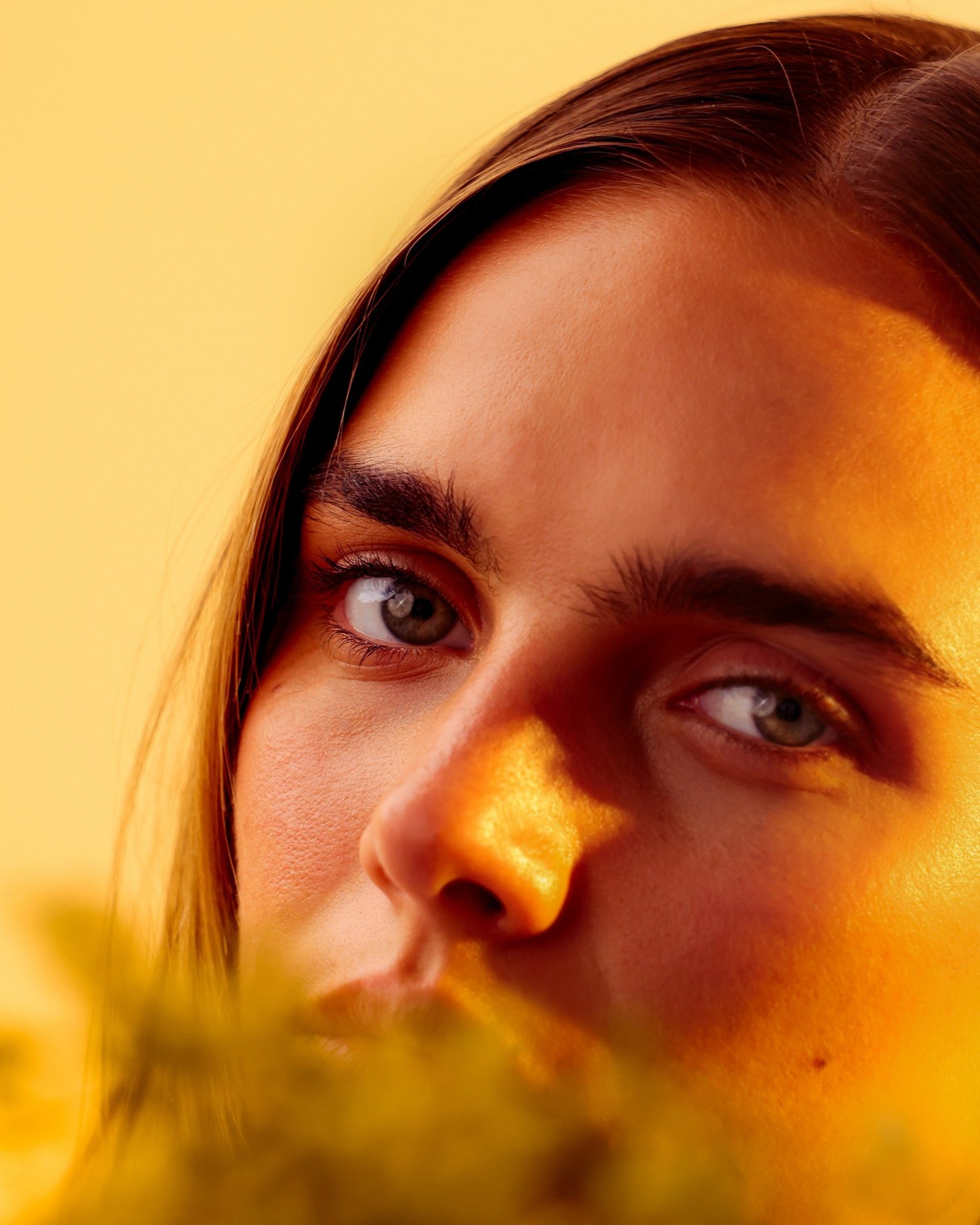 Close portrait in golden light behind soft wattle blossom, Mihan Aromatics Eucalyptus Bloom parfum campaign