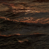 Ocean swell catching the last copper light of the day, the mood behind Mihan Aromatics Kirra Curl parfum