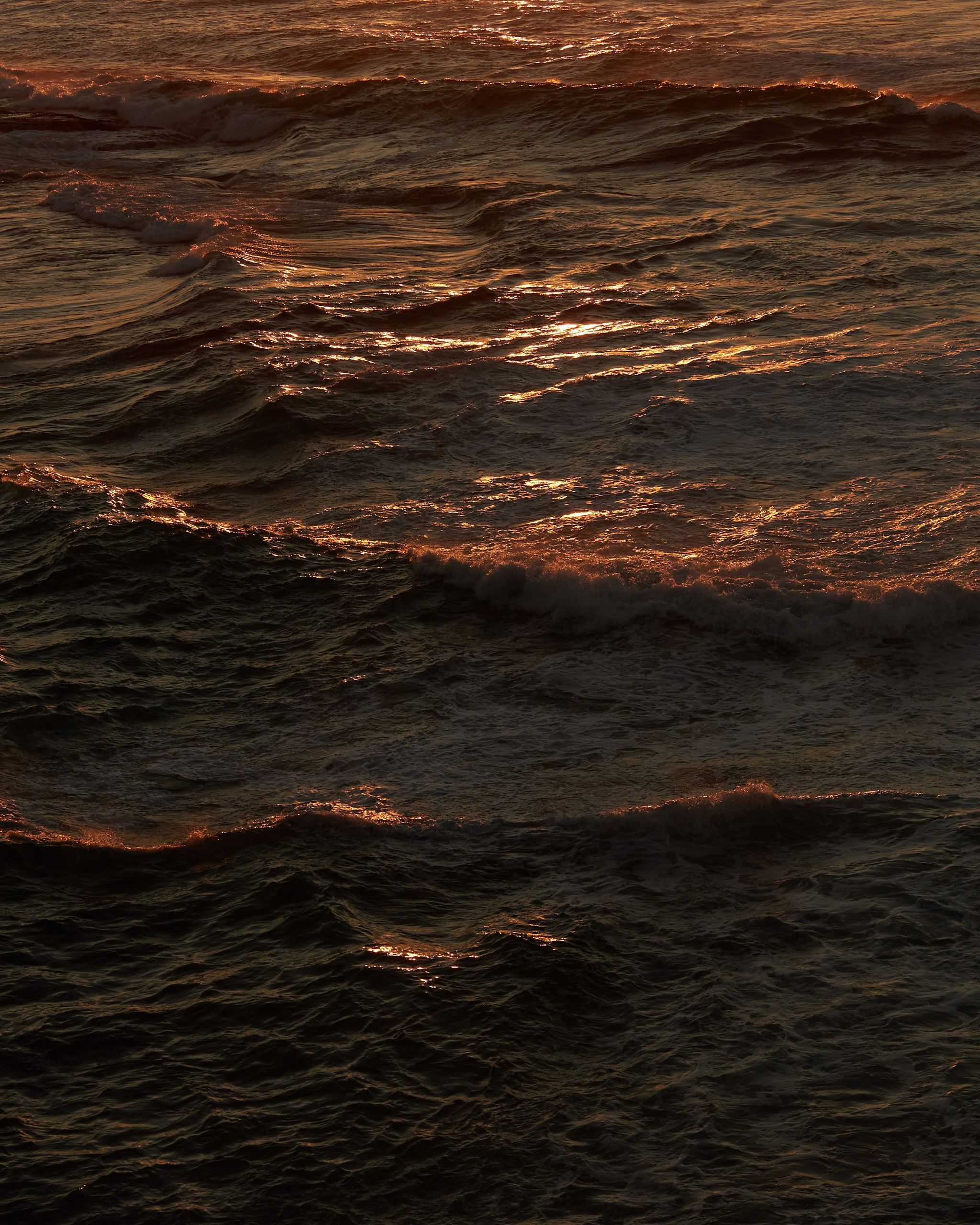 Ocean swell catching the last copper light of the day, the mood behind Mihan Aromatics Kirra Curl parfum